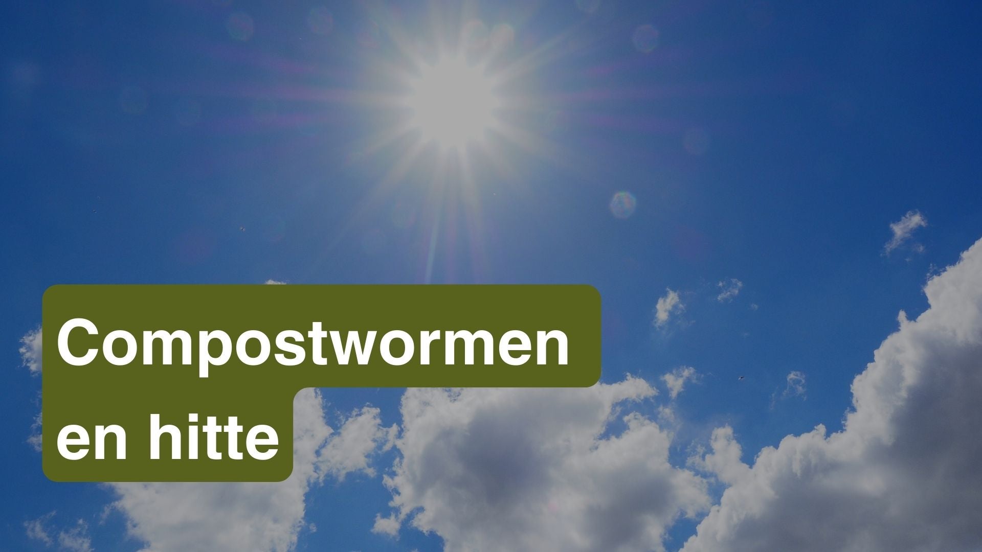 Compostwormen en hitte